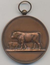 Médaille, Belgique, 1921 | Albert I (1875-1934) - Roi des Belges. Ruler
