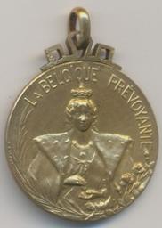Médaille, Belgique, 1913 | Albert I (1875-1934) - Roi des Belges. Souverain