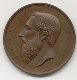 Penning, Brussel, 1877 | Leopold II (1835-1909) - roi de Belgique. Heerser