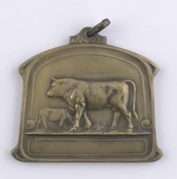 Médaille, Belgique, 1932 | Albert I (1875-1934) - Roi des Belges. Ruler