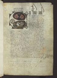 [Chronique de France et de Flandre de 1095 à 1305] | Jean Chapuis (12..-13). Author